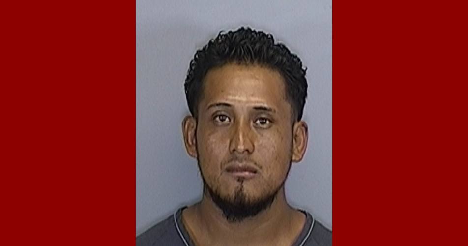 LUIS FLORES of Manatee County