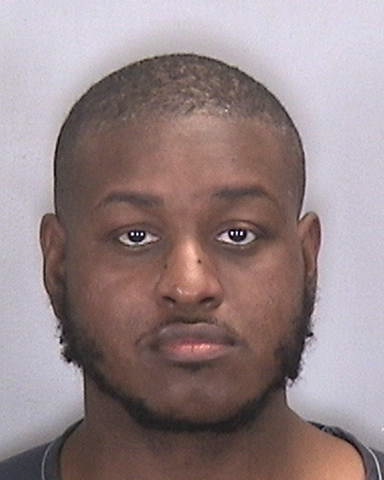 FABRION MITCHELL of Manatee County