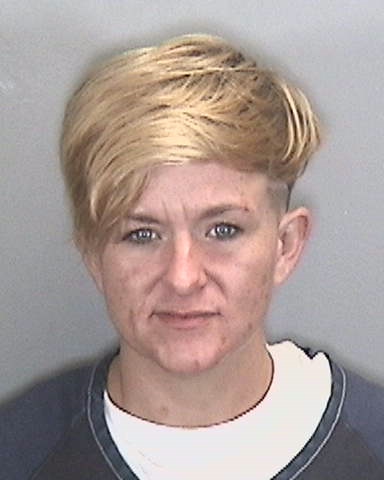 MICHELLE ARWOOD of Manatee County