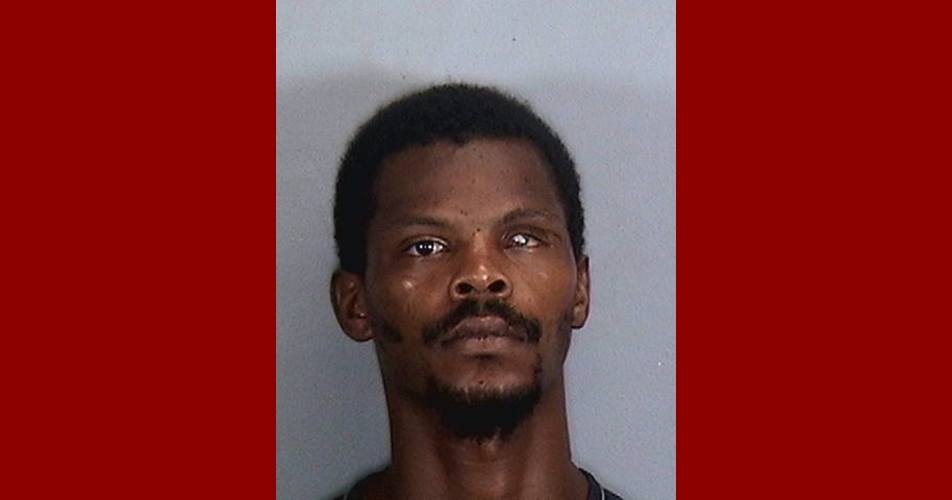 LADARRIAN CARNES of Manatee County