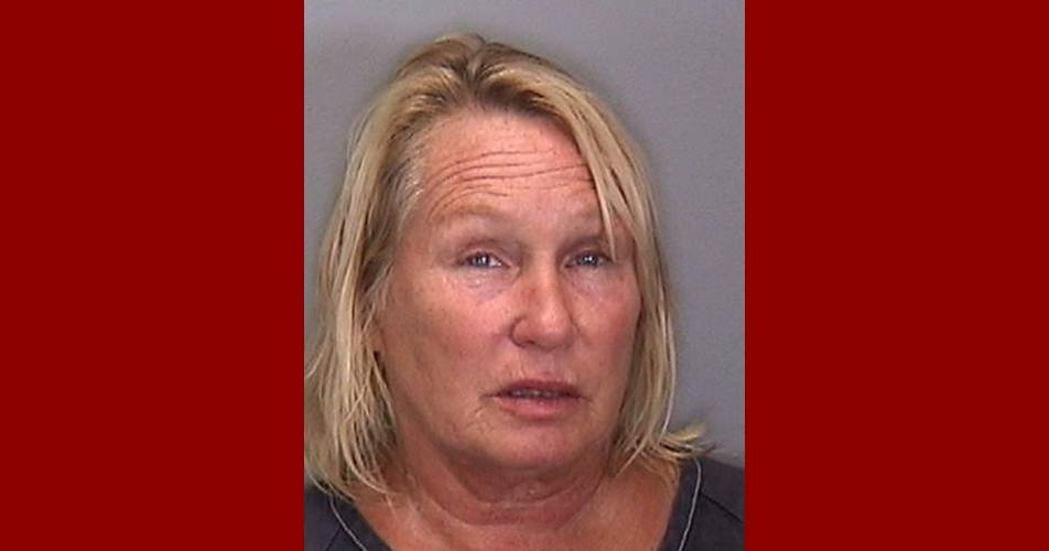 LEISA SPEAR of Manatee County