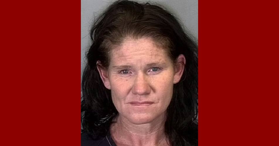 MICHELLE ECKMAN of Manatee County