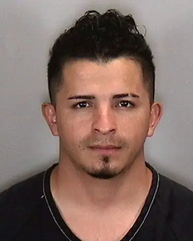 NELSON ORELLANA TREJO of Manatee County