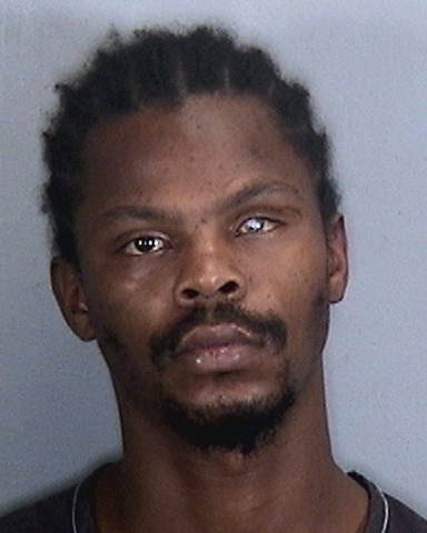 LADARRIAN CARNES of Manatee County