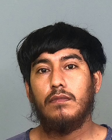 ENRI CAMPOS GUADALUPE of Manatee County