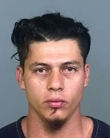 LUIS DUBON-PENA of Manatee County