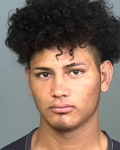 ARLEN FLORES of Manatee County