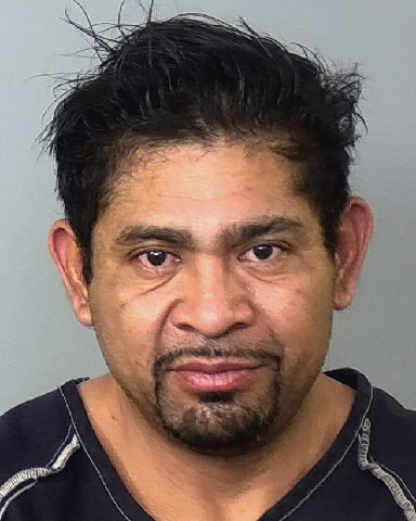 VICENTE SOLIS-RODRIGUEZ, Manatee County 