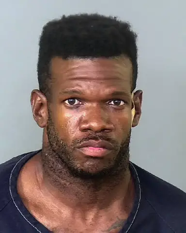 GREGORY WILLIAMS of Manatee County
