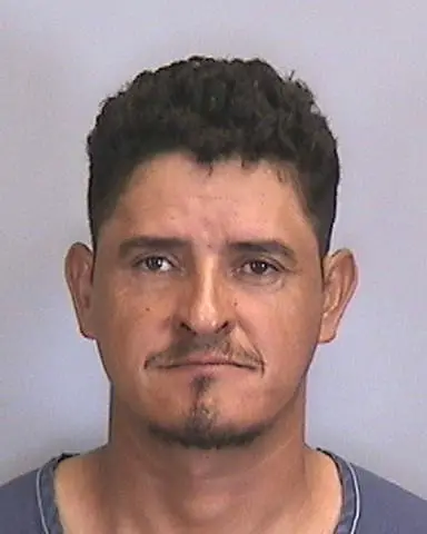 SELVIN HERNANDEZ VELASQUEZ of Manatee County