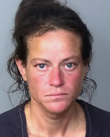 HEATHER MILLS of Manatee County - Manatee County Arrests & Mugshots