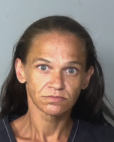 MICHELLE WOOD of Manatee County
