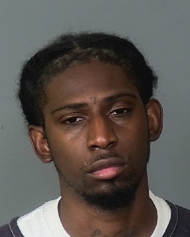 DONNELL LIVINGSTON of Manatee County