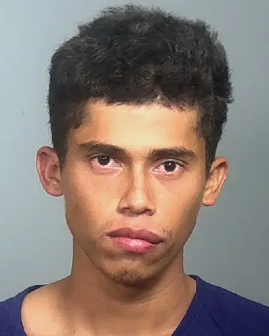 OSMAR FLORES TAPIA of Manatee County