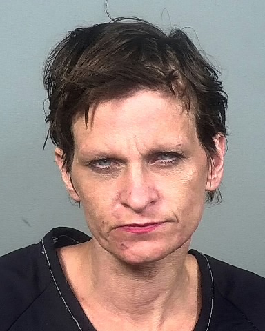MICHELLE CULLNAN of Manatee County