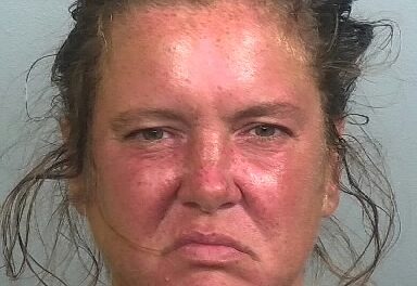 LORI LEWICKI of Manatee County
