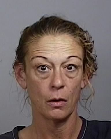 HEIDI HUDSON of Manatee County