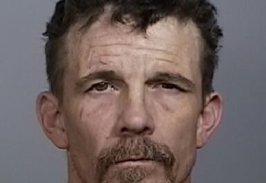 DENNIS MENDELSOHN of Manatee County