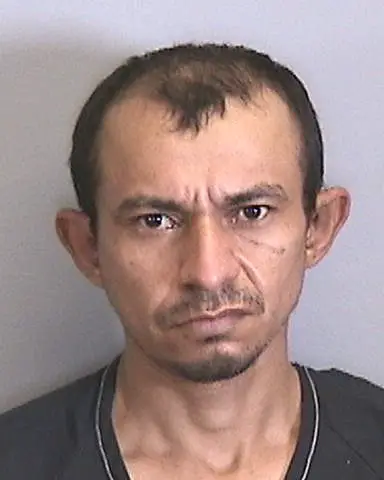 JOSE ORELLANA-CANAS of Manatee County