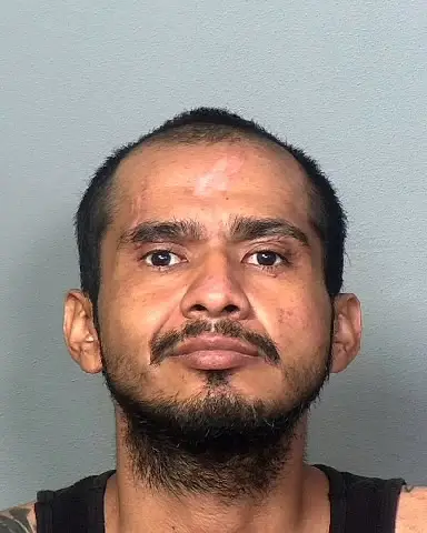 LUIS ALVARADO-AGUIRRE of Manatee County