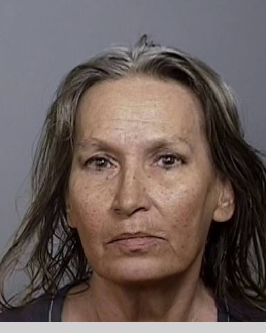 DAWN WINSTON of Manatee County