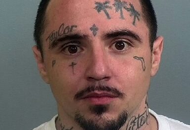 EDWARD FERRARO of Manatee County