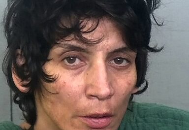 SHAUNA GANIMIAN of Manatee County