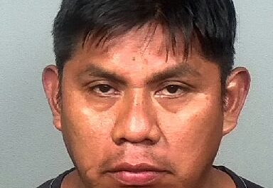 WILFREDO CUXEVA-JIMENEZ of Manatee County