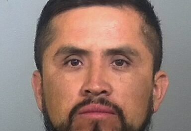 ARMANDO AVILA MONTOYA