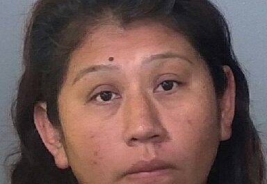 IRMA VALLEJO-ALARCON